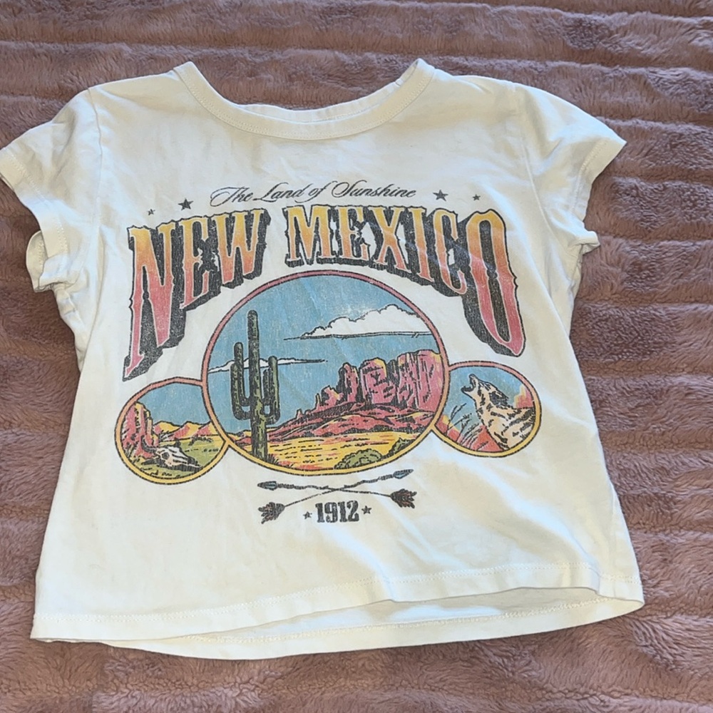 Hollister New Mexico Cropped Tshirt
